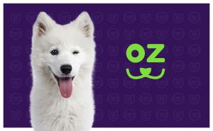 kozoo l'assurance santé pour les chiens - création wala freelance caen