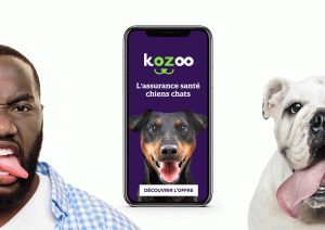 publicité de kozoo - logo et création WALA studio graphique
