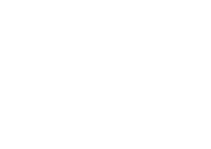 logotype identité visuelle spring- w