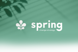 logo spring, l'identité visuelle sur la conduite du changement - WALA studio graphique